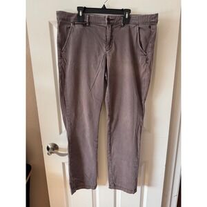 Pilcro and the Letterpress Hyphen Chino Pants Mauve Grey Size 32 Anthropologie